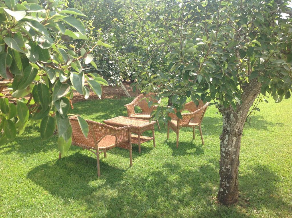 Agriturismo L'Agrumeto オートラント エクステリア 写真